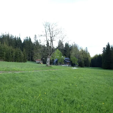 Apartment Pod Koberstejnem *