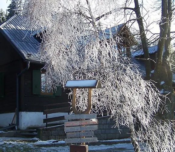 Pod Koberstejnem